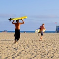 Santa Monica Surfers