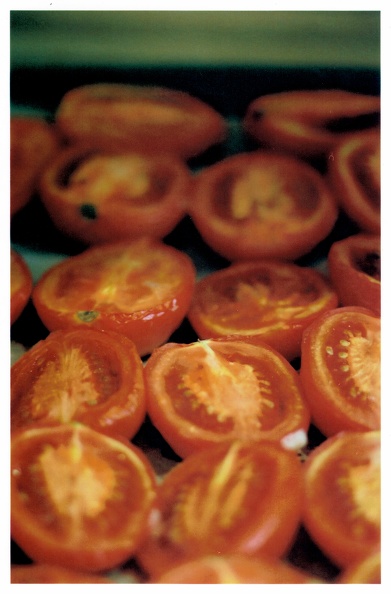 Tomatos.jpg